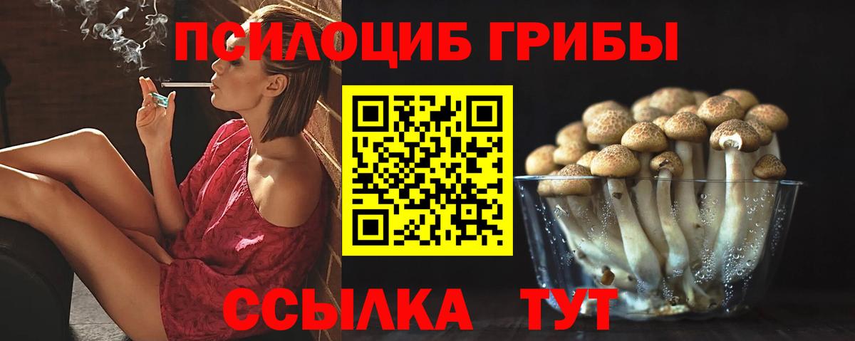 Галлюциногенные грибы прущие грибы Лангепас